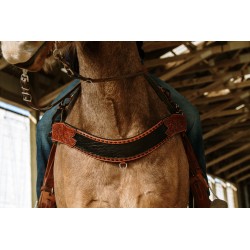 Black Bart Headstall and Tripping Collar Set