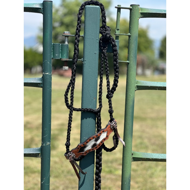 arceau de traction cervicale - Collier de sayre