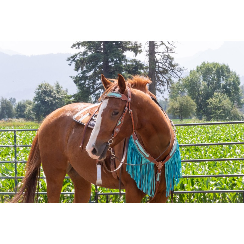 CHALLENGER Western Horse Browband Bridle – Tan With Turquoise Stones & Studs, Latigo Tie Bit Ends, Stainless Steel Hardware – Model 78203TR