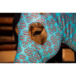 1200 Denier Aztec Circle Ripstop Waterproof Winter Blanket