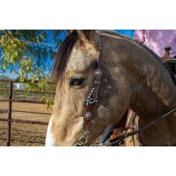 Cattle Drive Headstall and Breast Collar Set