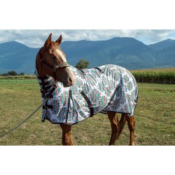 Serape Aztec Fly Sheet