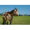 Grey Mohair Headstall