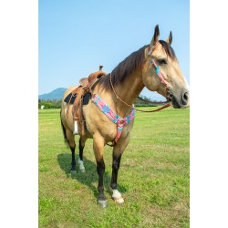 Pink Mohair Breast Collar