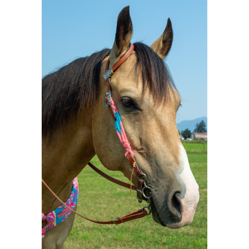 Pink Mohair Headstall