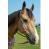 Pink Mohair Headstall