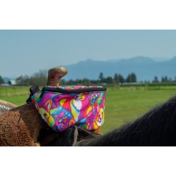 Saddle Pak