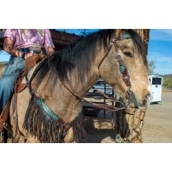 Dalton Fringe Headstall and...