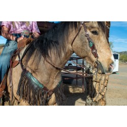 Dalton Fringe Headstall and Breast Collar Set