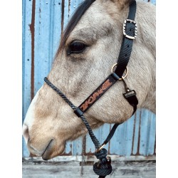 Lariat Nose Halter