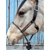 Lariat Nose Halter