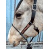 Lariat Nose Halter