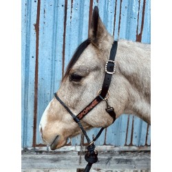 Lariat Nose Halter