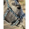 Schulz Equine Nylon Halter Turquoise Glass