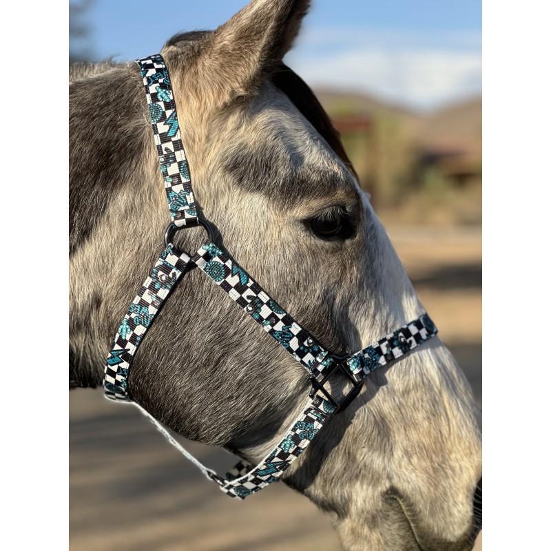 Schulz Equine Nylon Halter Turquoise Glass