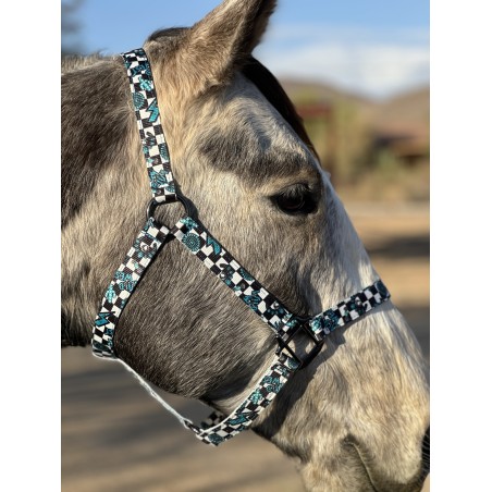 Schulz Equine Nylon Halter Turquoise Glass