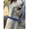 Schulz Equine Nylon Halter Round Up