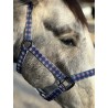 Schulz Equine Nylon Halter Round Up