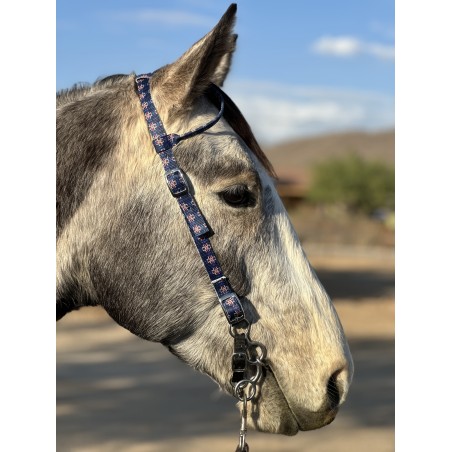 Schulz Equine One Ear Headstall Round Up