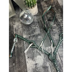 Green Leather Headstall and...