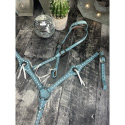 Turquoise Leather Headstall...