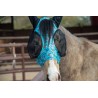 Lycra Fly Mask - Turquoise Howdy