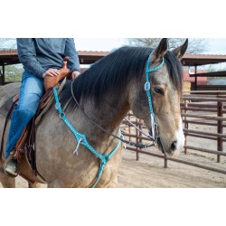 Turquoise Leather Headstall...