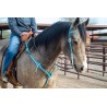 Turquoise Leather Headstall and Breast Collar Set