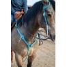 Turquoise Leather Headstall and Breast Collar Set