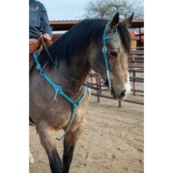 Turquoise Leather Headstall and Breast Collar Set