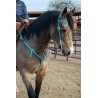 Turquoise Leather Headstall and Breast Collar Set