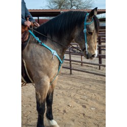 Turquoise Leather Headstall and Breast Collar Set