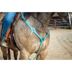 Turquoise Leather Headstall and Breast Collar Set