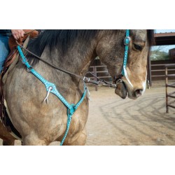 Turquoise Leather Headstall and Breast Collar Set