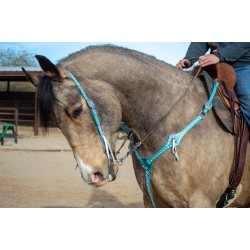 Turquoise Leather Headstall and Breast Collar Set