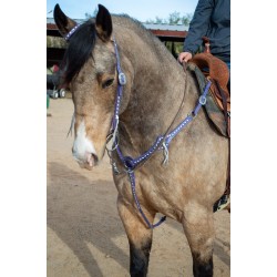 Purple Leather Headstall and Breast Collar Set