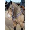 Purple Leather Headstall and Breast Collar Set