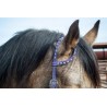 Purple Leather Headstall and Breast Collar Set