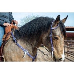 Purple Leather Headstall...