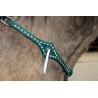 Green Leather Headstall and Breast Collar Set