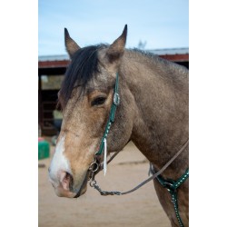 Green Leather Headstall and Breast Collar Set