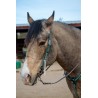 Green Leather Headstall and Breast Collar Set