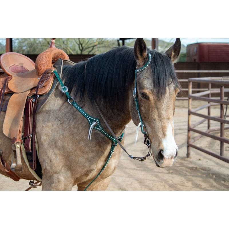 Green Leather Headstall and Breast Collar Set