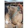 Green Leather Headstall and Breast Collar Set