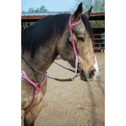 Pink Leather Headstall and Breast Collar Set