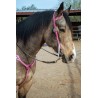 Pink Leather Headstall and Breast Collar Set