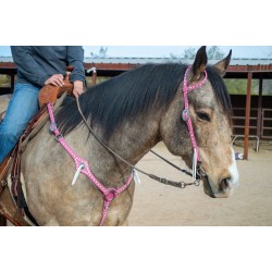 Pink Leather Headstall and...