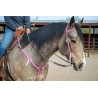 Pink Leather Headstall and Breast Collar Set