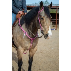 Pink Leather Headstall and Breast Collar Set