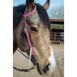 Pink Leather Headstall and Breast Collar Set